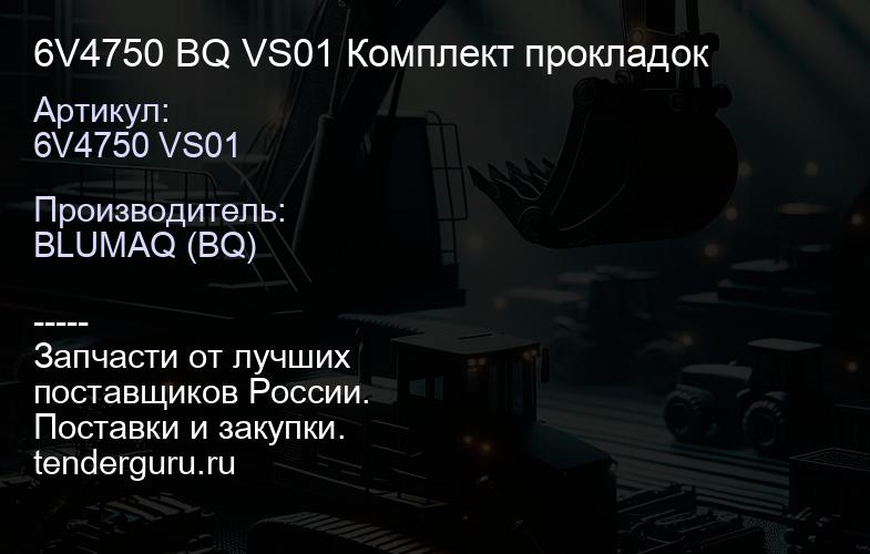 6V4750 BQ VS01 Комплект прокладок | купить запчасти